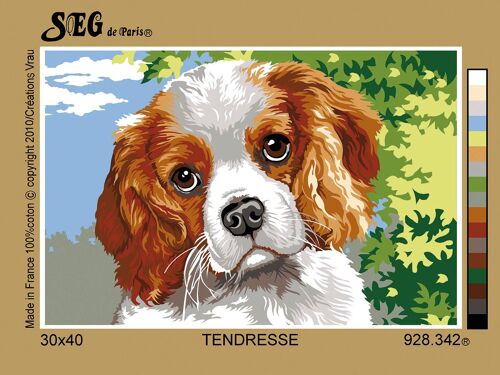 Canevas Antique Tendresse 30x40cm - Se928.342