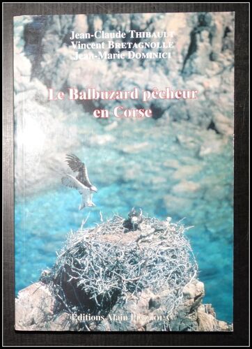 Le Balbuzard Pecheur En Corse