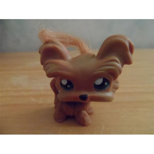 Chien Yorkshire Petshop N°6