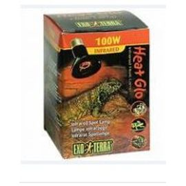 Lot 2 Ampoules Pour Terrarium