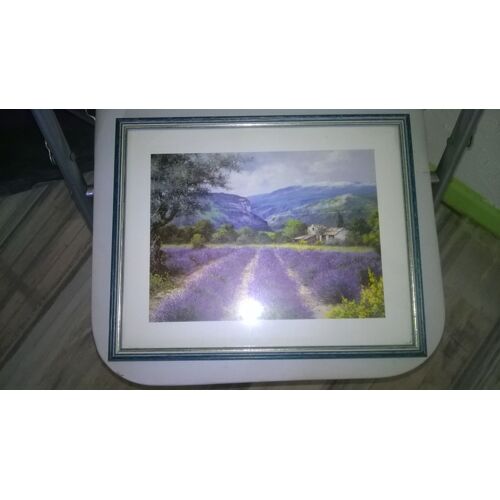 Cadre sous verre Paysage de lavande