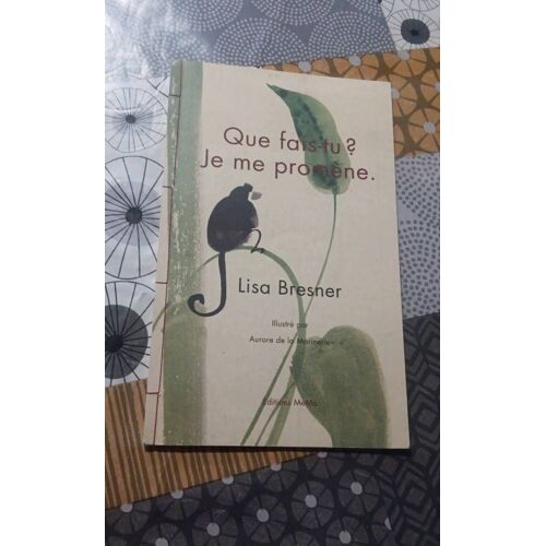 Que Fais Tu ? Je Me Promene Lisa Bresner