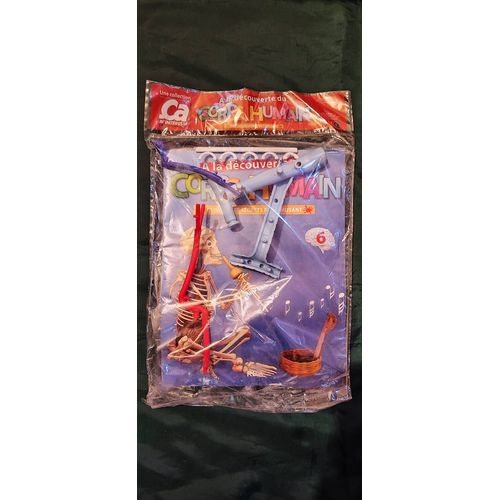 À La Découverte Du Corps Humain N°6