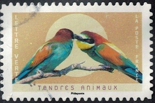 France 2023 Oblitéré Used Tendres Animaux Guêpiers D'europe Y&t Fr 2244 Su