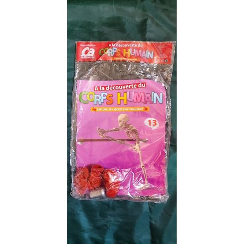À La Découverte Du Corps Humain N°13