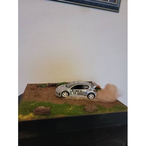Diorama Rally