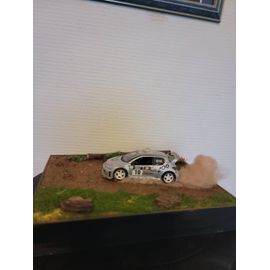 Diorama Rally