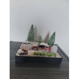 Diorama Rally Neige