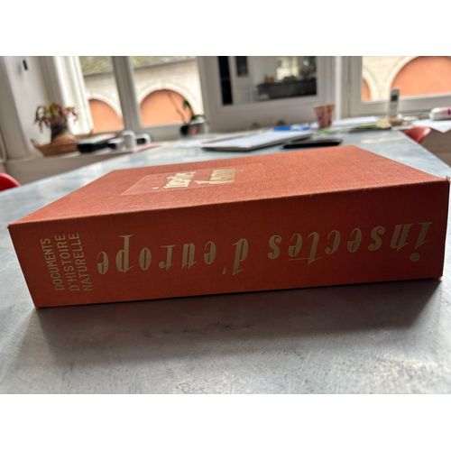 Insecte D’Europe - Document D’Histoire Naturelle