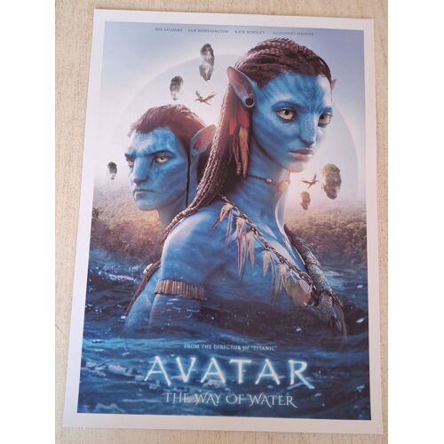 Affiche / Poster Du Film D'animation "Avatar" - 29,7 X 42 Cm