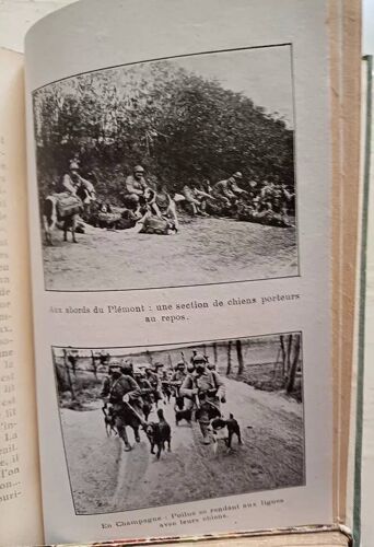 Megnin Les Chiens De France - Soldats De La Grande Guerre Illustre 14 18
