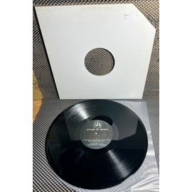 Styles Of Beyond - Many Styles / Gollaxowelcome - Disque Vinyle Import Us - Hip Hop, Rap