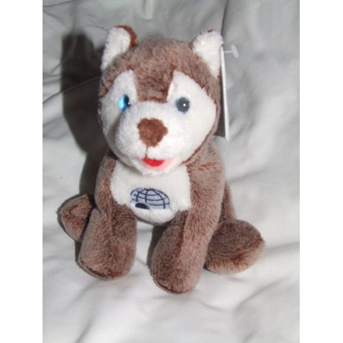 Chien Husky Gipsy Igloonous Marron