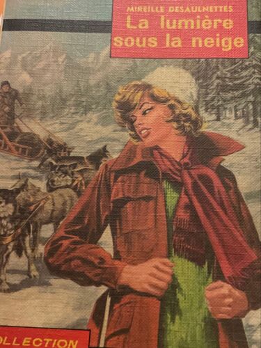 La Lumière Sous La Neige - Mireille Desaulnettes