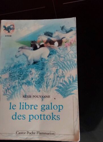 Le Libre Galop Des Pottoks