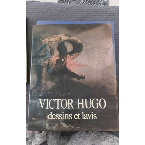 Victor Hugo Dessins Et Lavis pas cher - Meilleures offres sur le