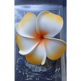 Pince Grande Fleur De Lotus Diamètre 10cm