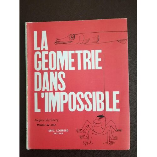 La Géométrie Dans L'impossible - Jacques Sternberg