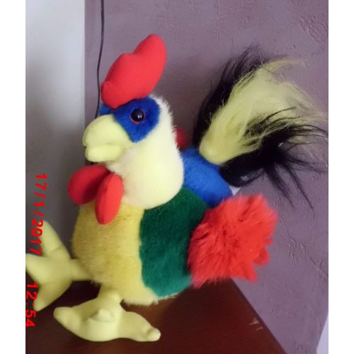 Poule Multicolore Enocari