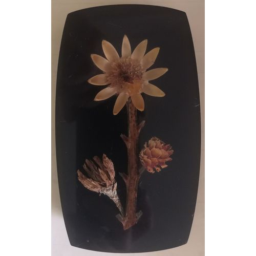 Presse papier en résine