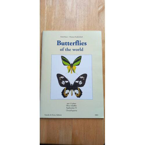 Ornithptera / Butterflies Of The World / Part 12