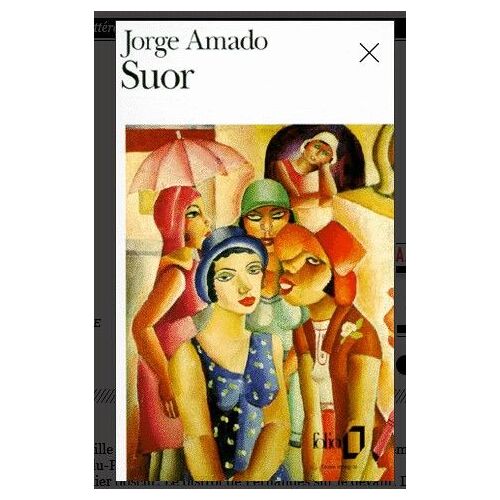 Suor Jorge Amado