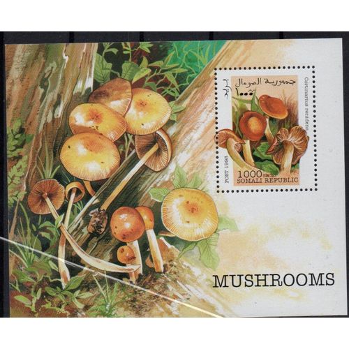 Somalie Timbres Les Champignons 1998