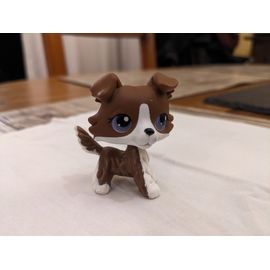 Little Petshop Collie