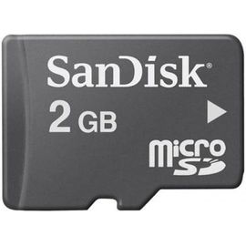 SanDisk 2 Go Carte mémoire microSD