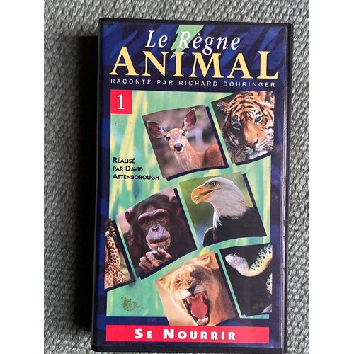 Le Règne Animal -Se Nourrir -