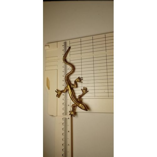 Lézard dore decorativos