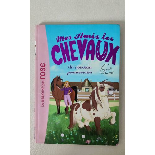 1. Mes Amis Les Chevaux : Un Nouveau Pensionnaire