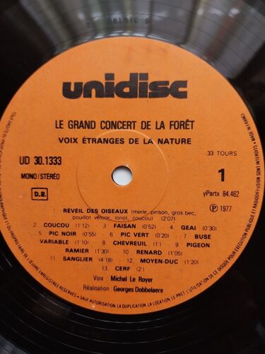 Voix Étranges De La Nature Le Grand Concert De La Forêt