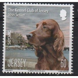 Jersey Timbre L' Épagneul Irlandais 2013