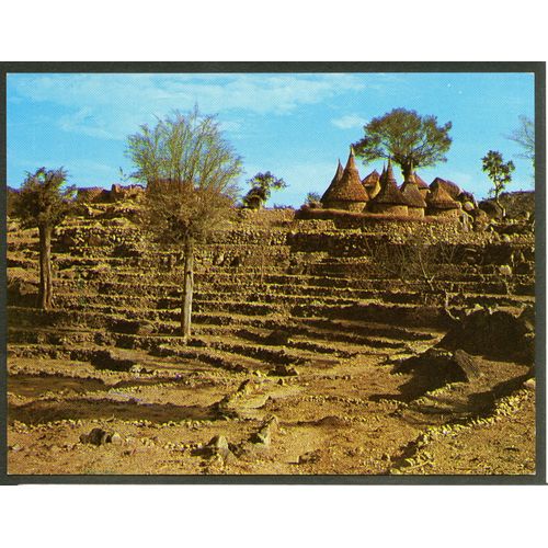 Carte Postale Nord Cameroun, Mokolo, Saré Mafa Au Milieu Des Terrasses De Culture