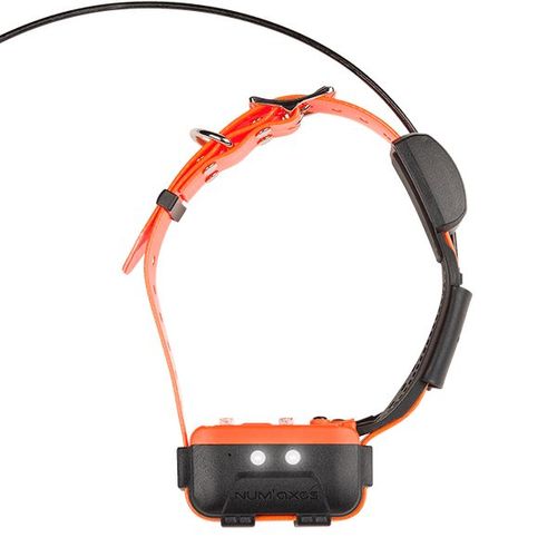 Collier De Localisation Supplémentaire Num'axes Canicom Gps 2