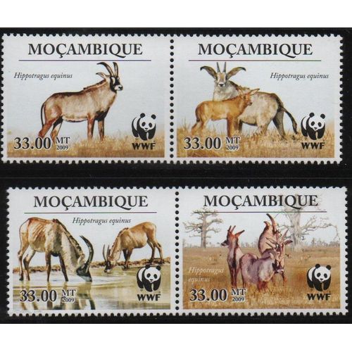 Mozambique Timbres Animaux : Le Zèbre De Grévy 2010