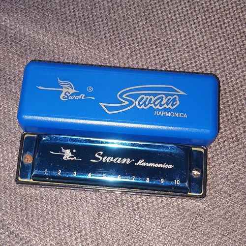 Harmonica Swan