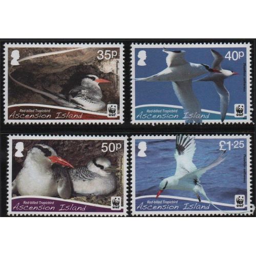 Ile De L'ascension Timbres Oiseaux 2011