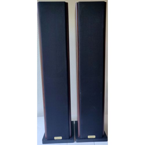 2 colonnes enceinte elipson 100