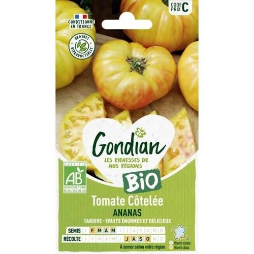 Gondian - Tomate Cotelée Ananas