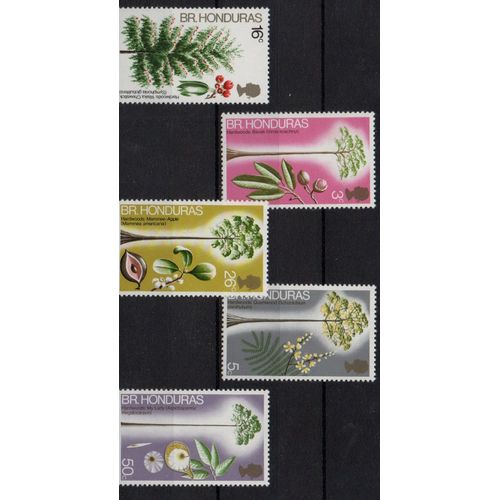 Honduras Britannique ( Belize ) Timbres Arbres