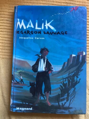 Malik Le Garçon Sauvage Jacqueline Cervon 