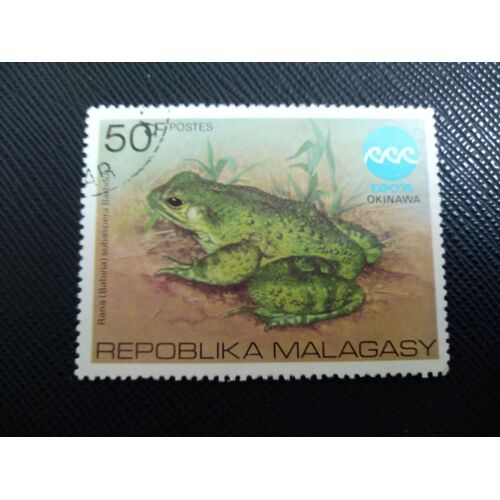 Timbre Madagascar Yt 569 Grenouille D'otton (Rana Subaspera) 1975 (030309 )