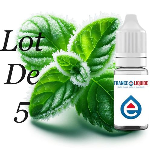 E-liquide Menthe Glaciale 50ml 6mg en 50%PG / 50%VG lot de 5x10ml