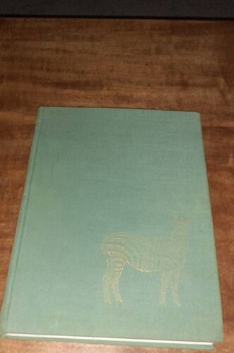 Animaux D'afrique  Pierre Letellier