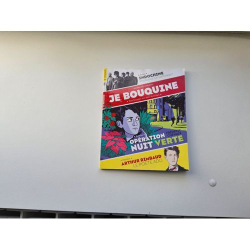 Je Bouquine Numéro 349. Pas D'envoi En "Normal ".