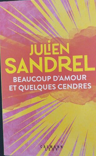 Roman De Julien Sandrel. Beaucoup D'amour Et Quelques Cendres.