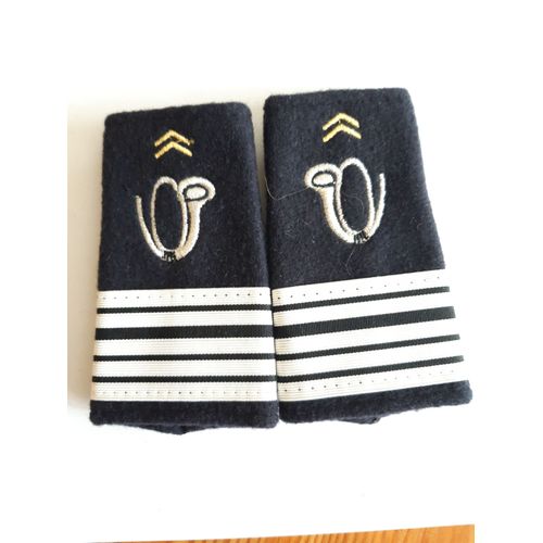 Fourreaux Neuf Grade Colonel Chasseurs Alpins