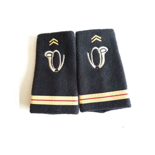 Fourreaux Neuf Grade Adjudant Chasseurs Alpins
